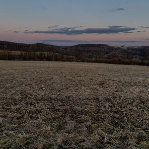 Meet your Posher, Trinity